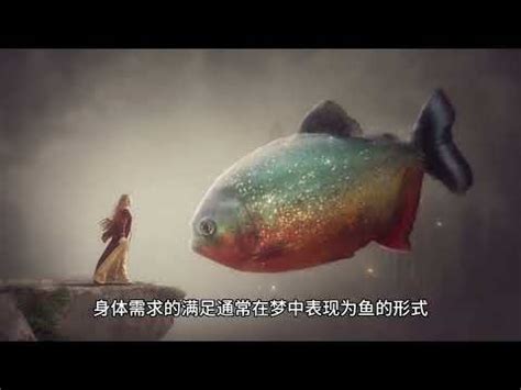 夢見魚缸很多魚號碼|夢到魚缸很多魚